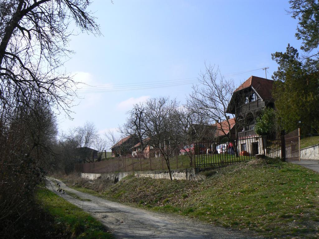 Country House Stoljetna Vila Guest House Seona Exterior photo