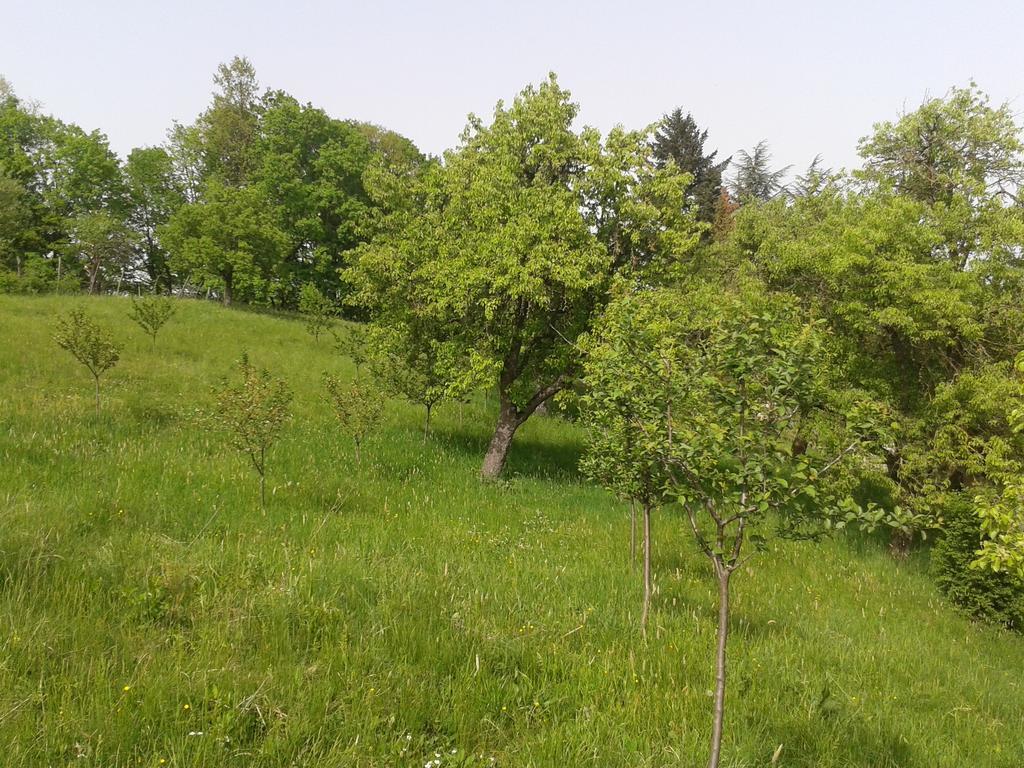 Country House Stoljetna Vila Guest House Seona Exterior photo