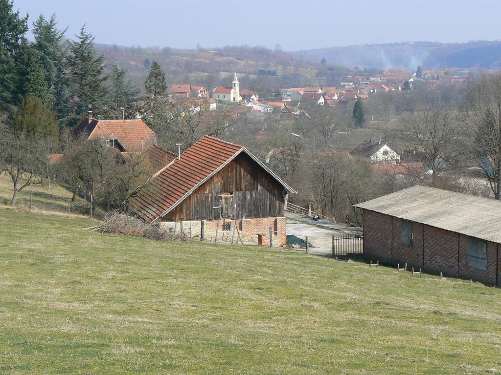 Country House Stoljetna Vila Guest House Seona Exterior photo